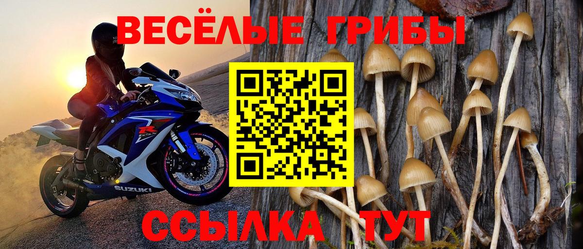 Псилоцибиновые грибы прущие грибы Верхний Уфалей